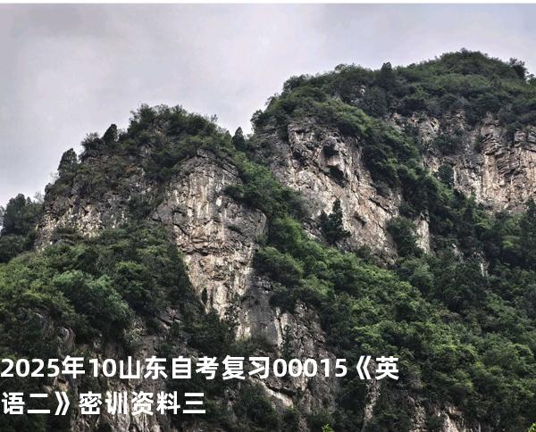 2025年10山东自考复习00015《英语二》密训资料三