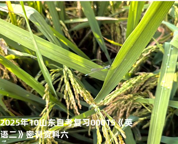 2025年10山东自考复习00015《英语二》密训资料六