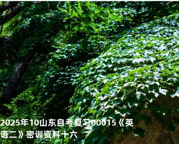 2025年10山东自考复习00015《英语二》密训资料十六