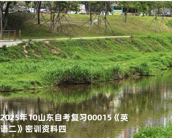 2025年10山东自考复习00015《英语二》密训资料四