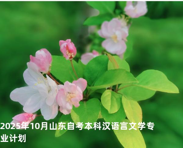 2025年10月山东自考本科汉语言文学专业计划