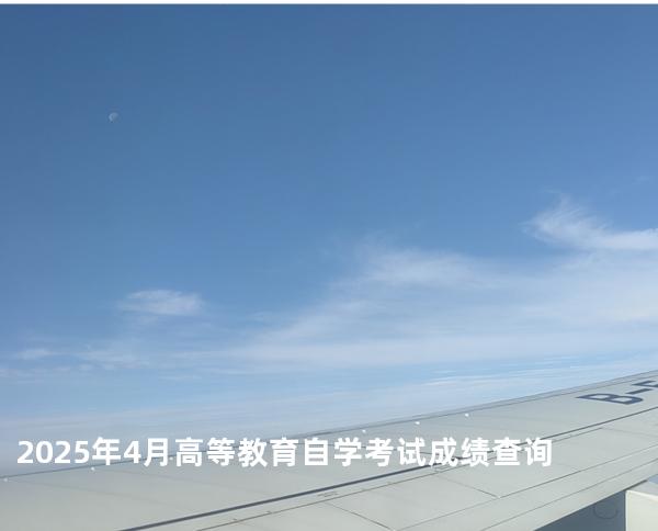 2025年4月高等教育自学考试成绩查询