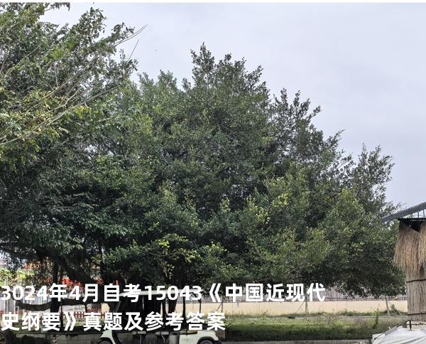 3024年4月自考15043《中国近现代史纲要》真题及参考答案