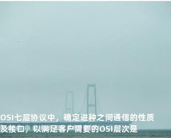 OSI七层协议中，确定进种之间通信的性质及接口，以满足客户需要的OSI层次是