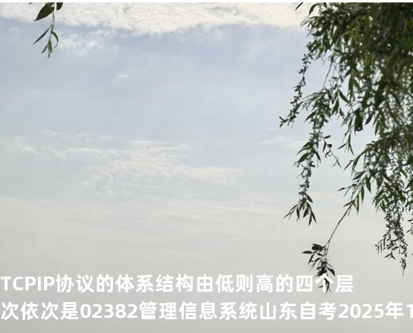 TCP/IP协议的体系结构由低则高的四个层次依次是02382管理信息系统  山东自考2025年10月