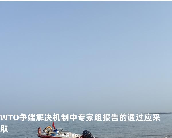 WTO 争端解决机制中专家组报告的通过应采取 