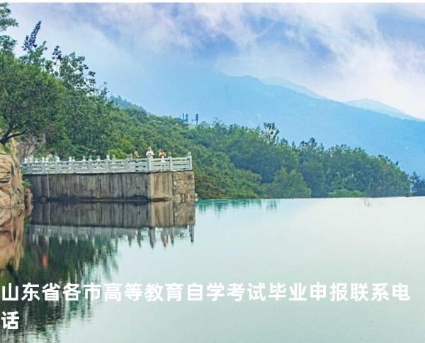 山东省各市高等教育自学考试毕业申报联系电话