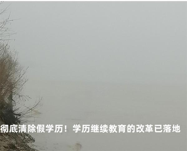 彻底清除假学历！学历继续教育的改革已落地