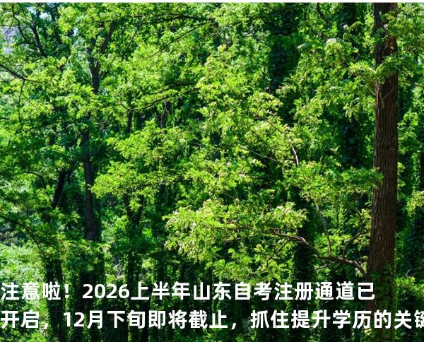 注意啦！2026上半年山东自考注册通道已开启，12月下旬即将截止，抓住提升学历的关键机会