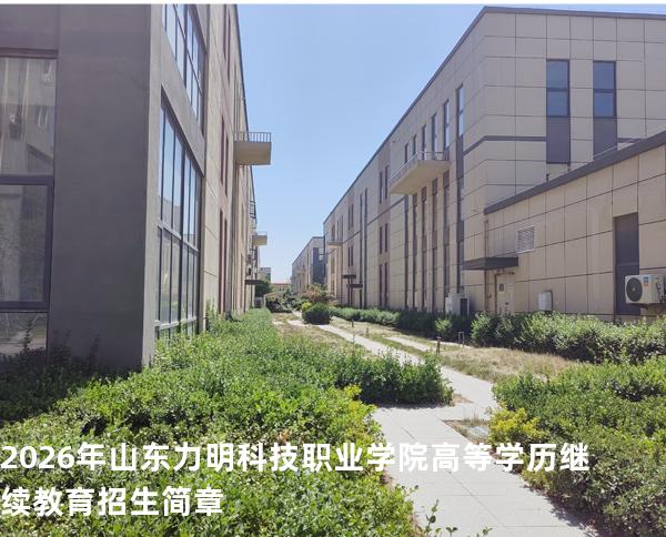 2026年山东力明科技职业学院高等学历继续教育招生简章